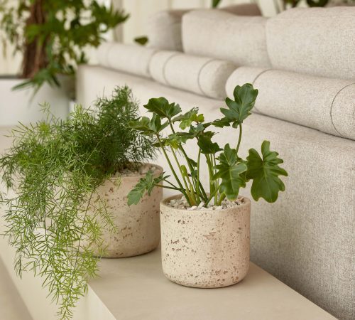 22831_1