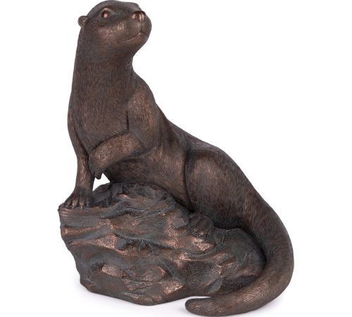22889_00.jpg